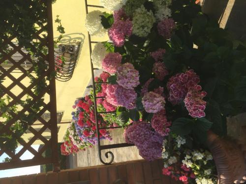 Albergo Il Gufo Parma Zewnętrze zdjęcie